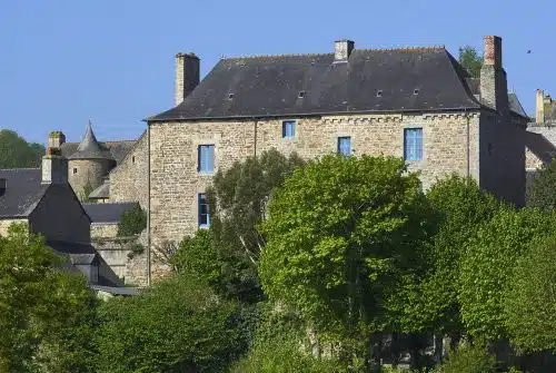 L’importance de l’assurance habitation lorsque vous avez des arbres à proximité de votre maison