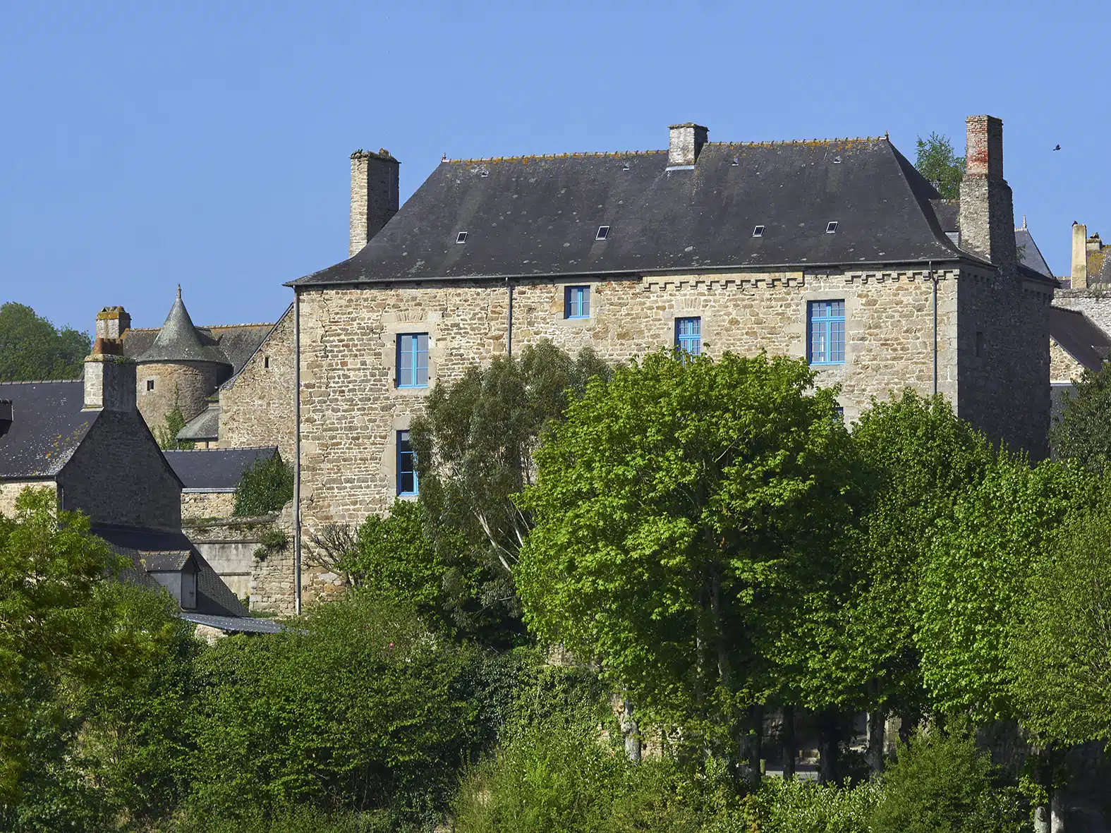 L’importance de l’assurance habitation lorsque vous avez des arbres à proximité de votre maison