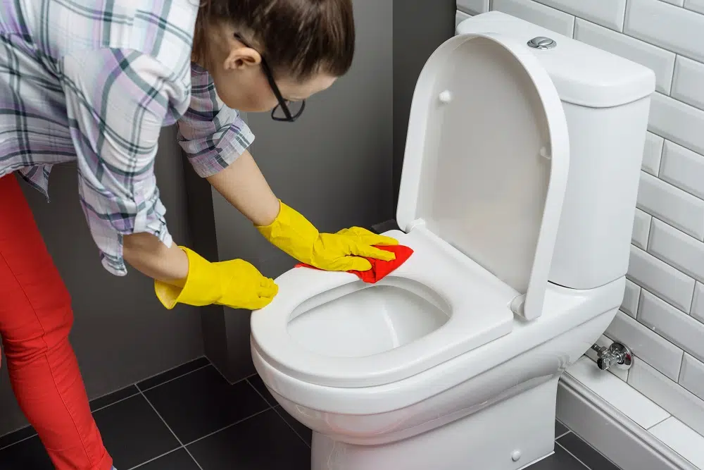 Tous les secrets pour entretenir vos toilettes au quotidien