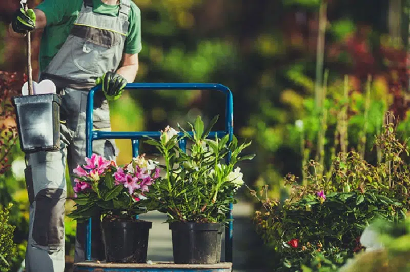 Confier l’aménagement de votre jardin à un spécialiste : les avantages