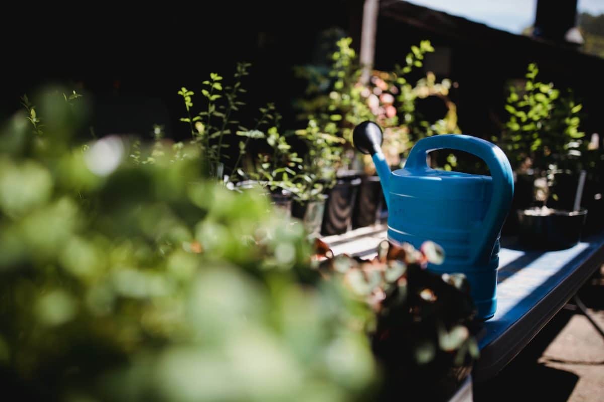 Trouver la meilleure pompe à eau pour votre jardin: les grandes marques et systèmes de relevage d’eau de pluie