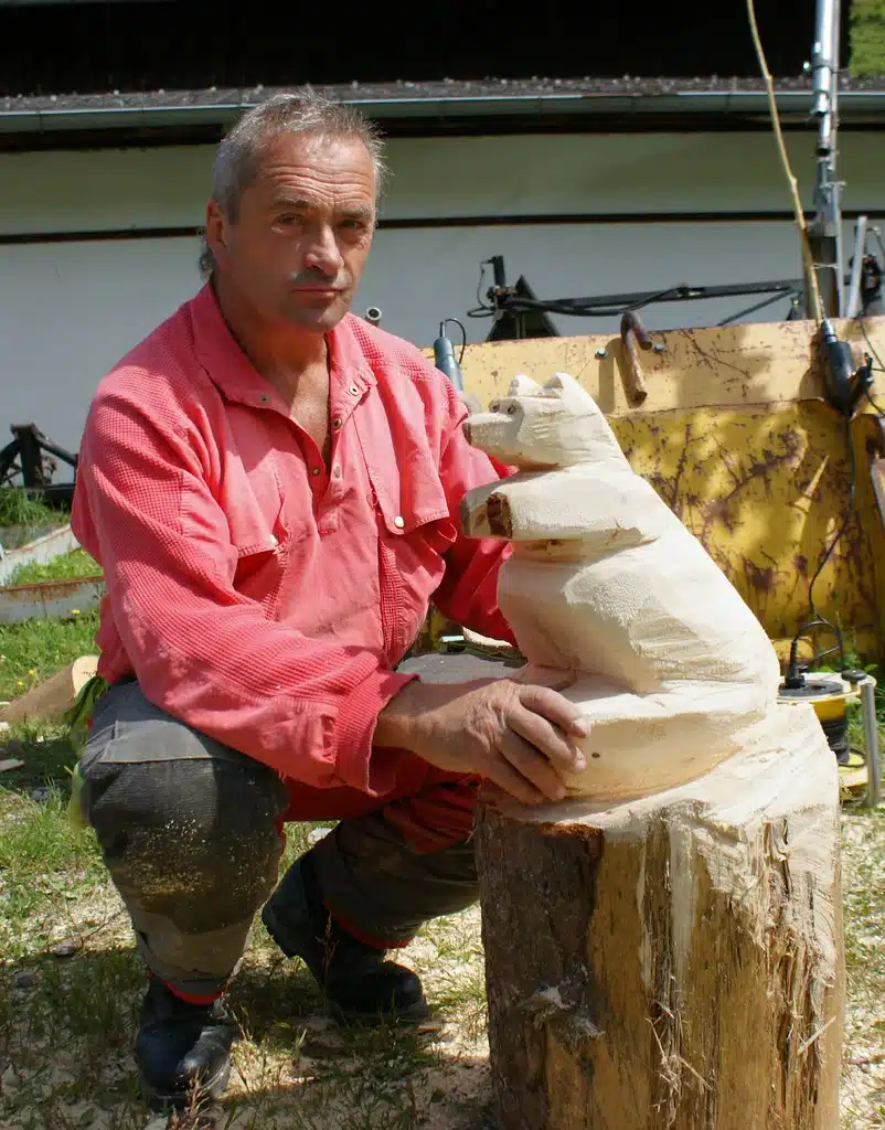 Les principaux critères à vérifier avant d’acheter une ponceuse pour le bois