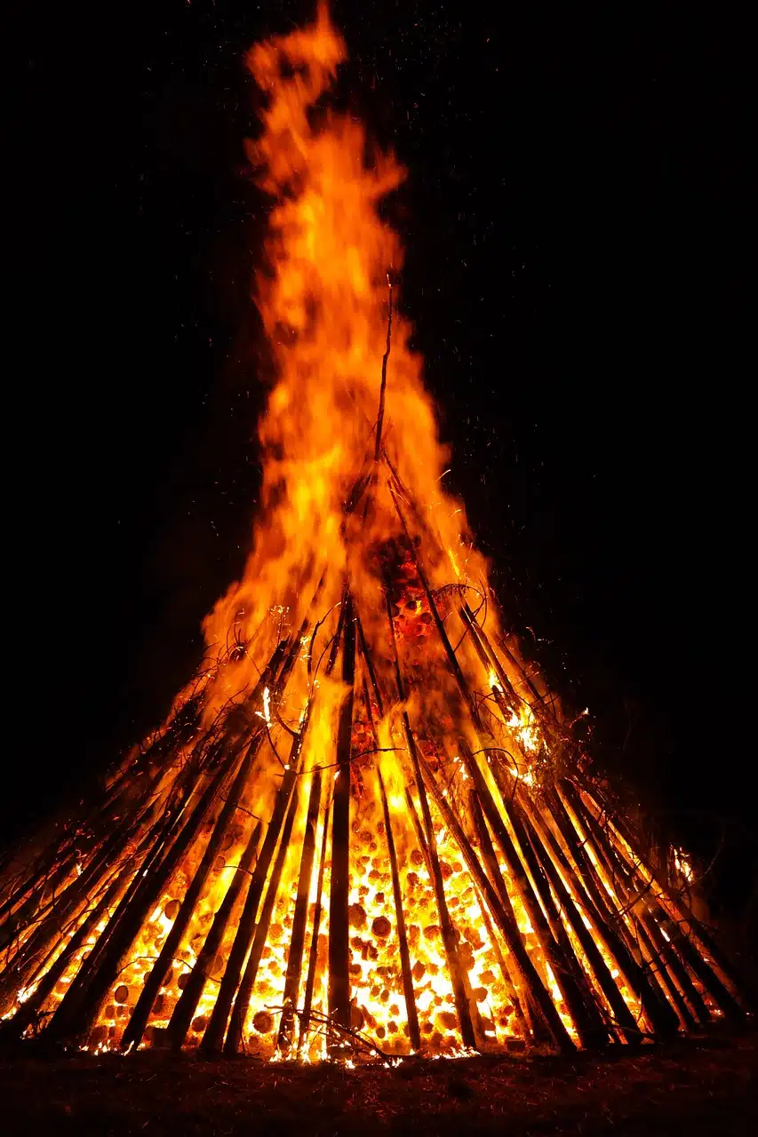 Quelle est la différence entre une buche densifiée et une buche traditionnelle?