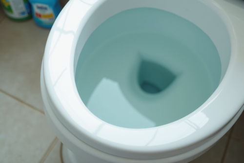 Vers dans les toilettes : comment assainir les canalisations