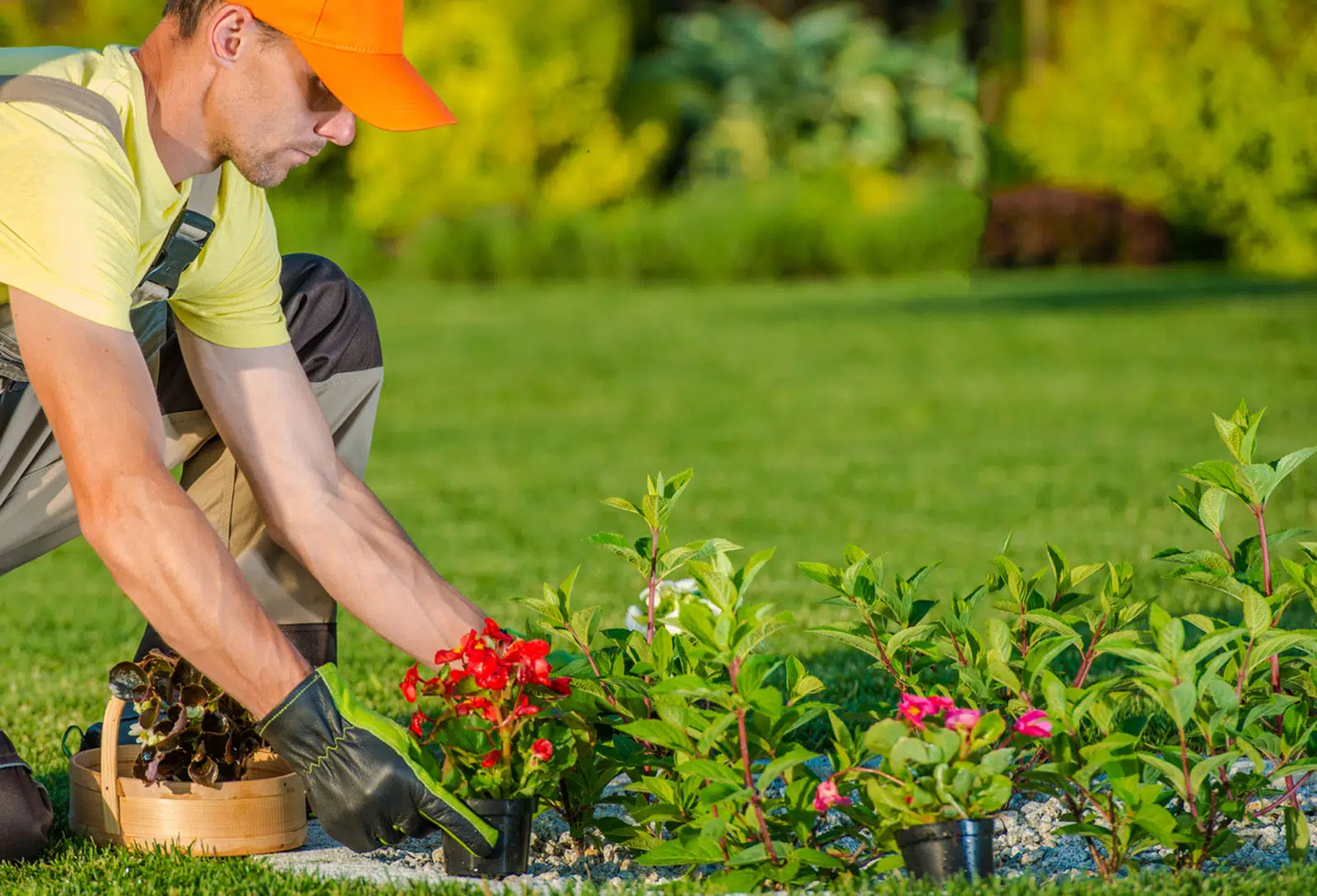 l’aménagement de votre jardin à un spécialiste les avantages