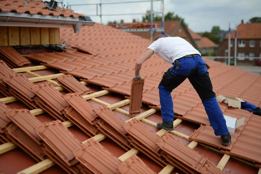 qui faire appel pour la rénovation d’une charpente